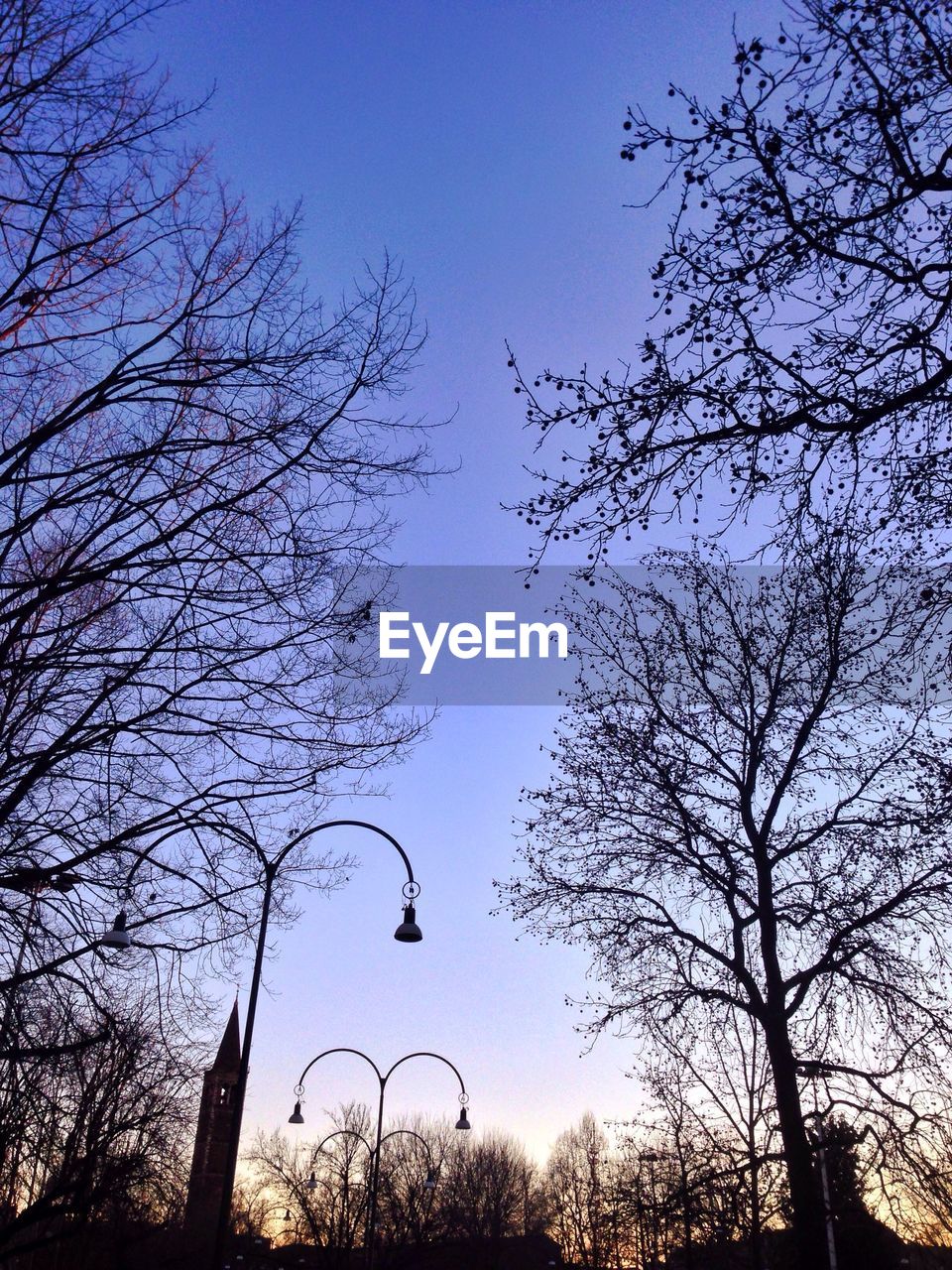 Silhouette bare trees against clear sky at dusk