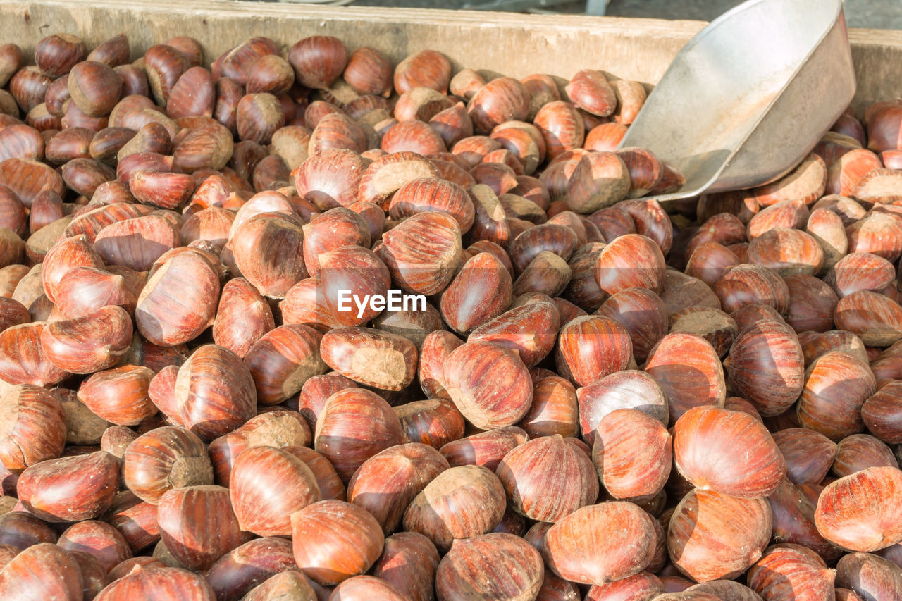 HIGH ANGLE VIEW OF SHELLS IN MARKET