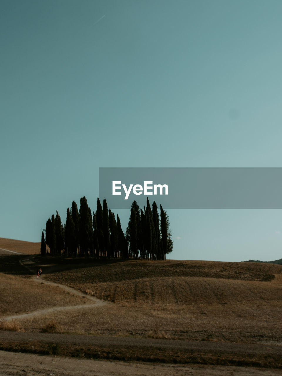 SCENIC VIEW OF LANDSCAPE AGAINST CLEAR SKY