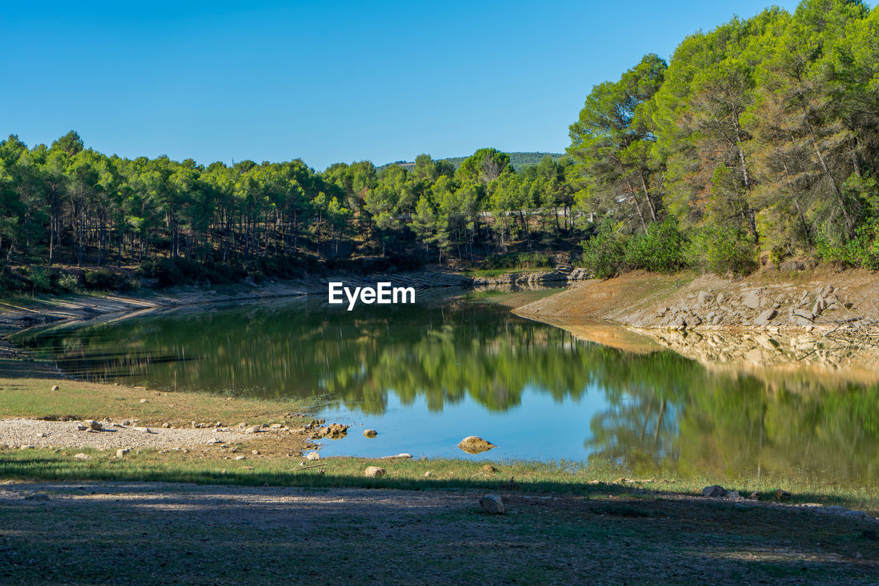 REFLECTION OF TREES IN LAKE AGAINST SKY