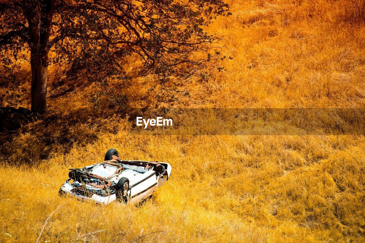 BICYCLE SITTING ON ROAD AMIDST TREES DURING AUTUMN