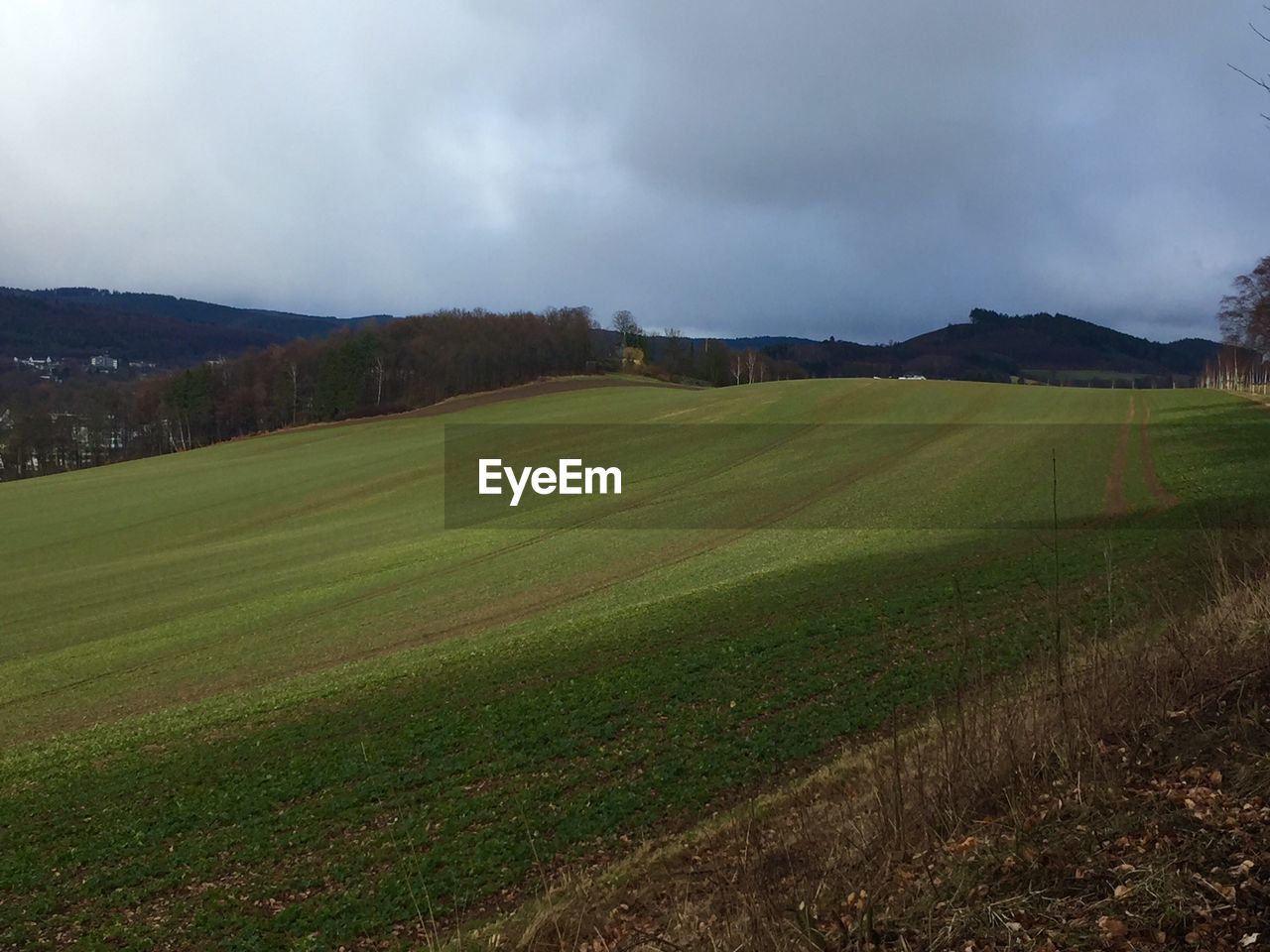 AGRICULTURAL FIELD AGAINST SKY