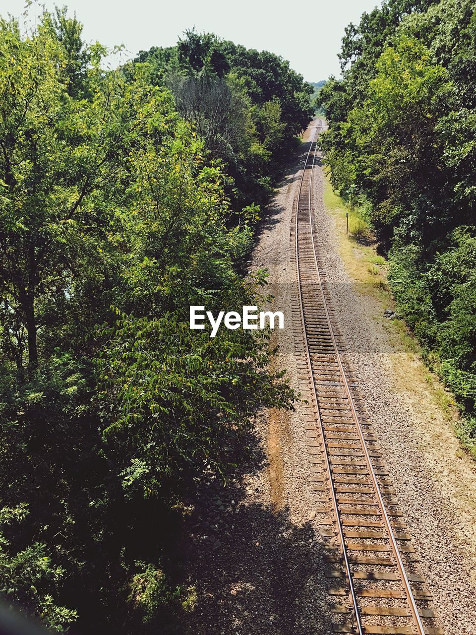 VIEW OF RAILWAY TRACKS THROUGH TREES