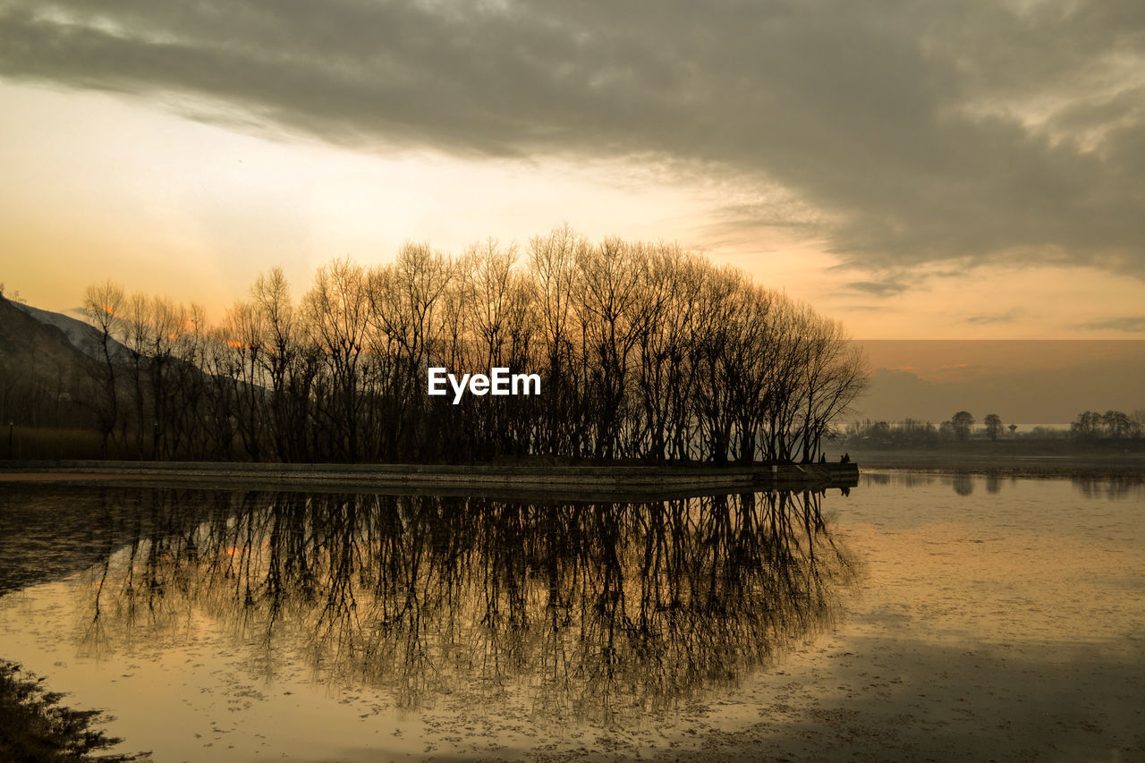 REFLECTION OF TREE IN LAKE AGAINST SKY