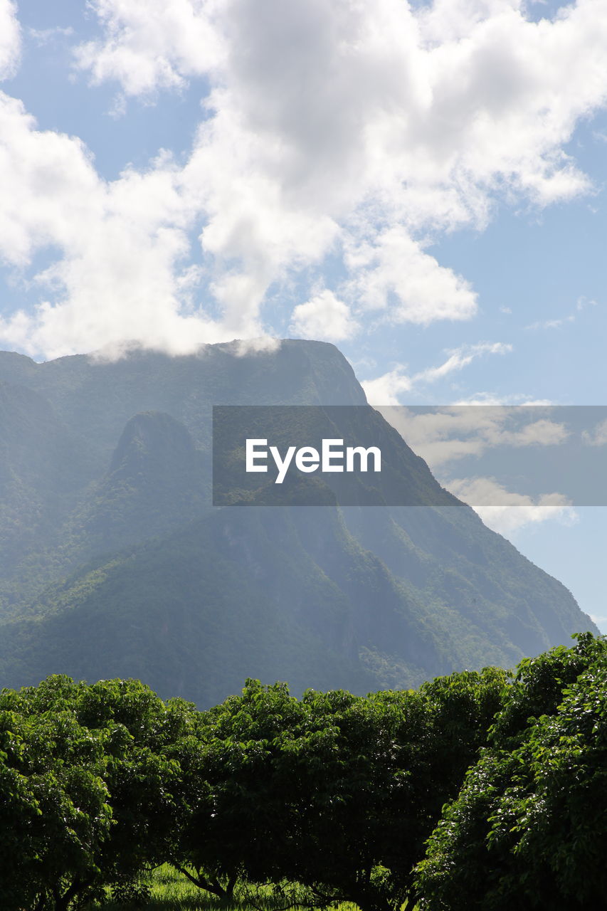 SCENIC VIEW OF TREES AND MOUNTAINS AGAINST SKY