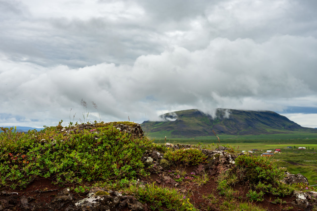 Scenic view of icelandic landscape against sky 