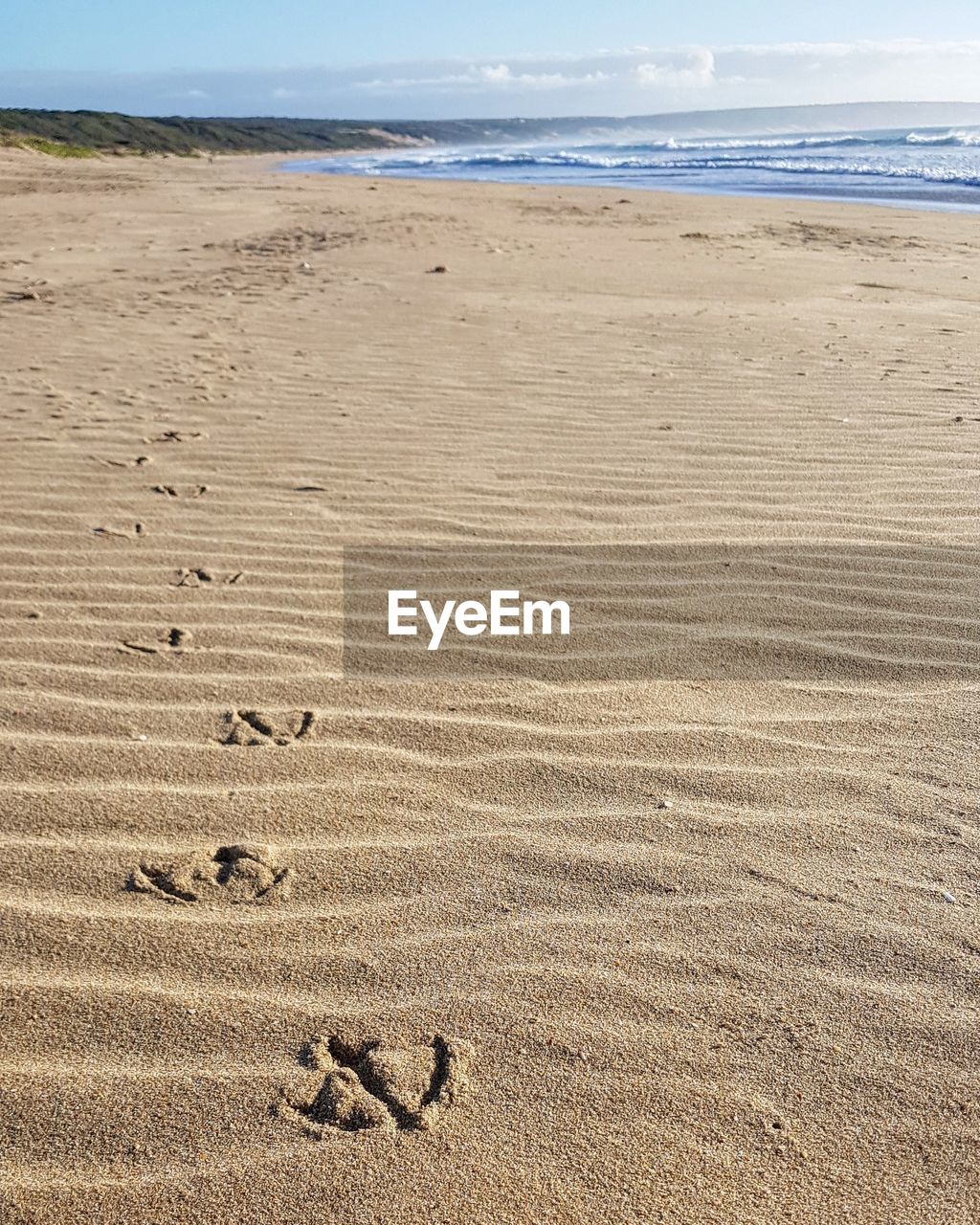 Beach sand footprint 