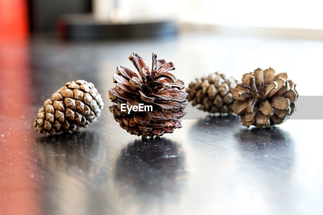 Pine cones on table