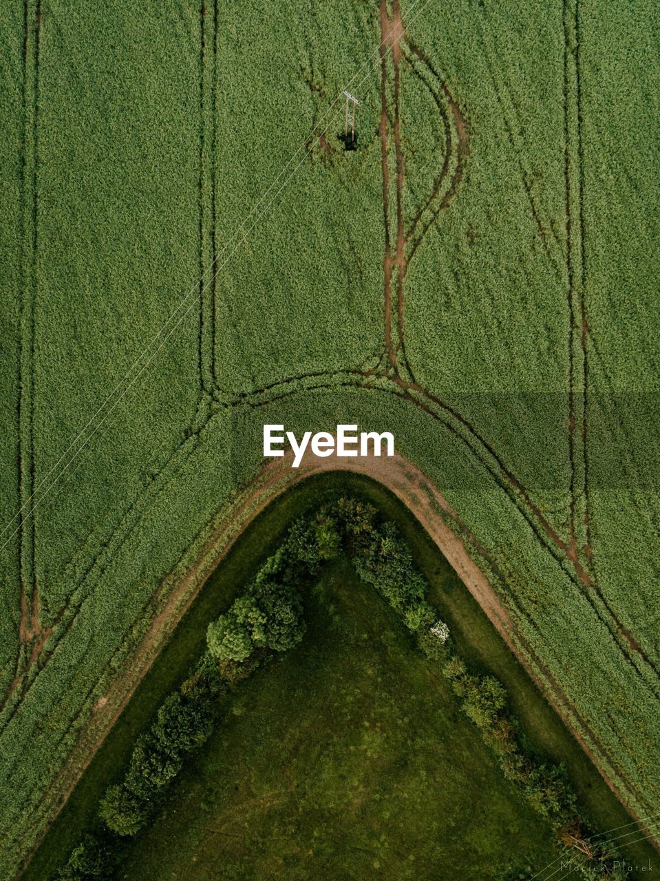 Aerial view of agricultural field