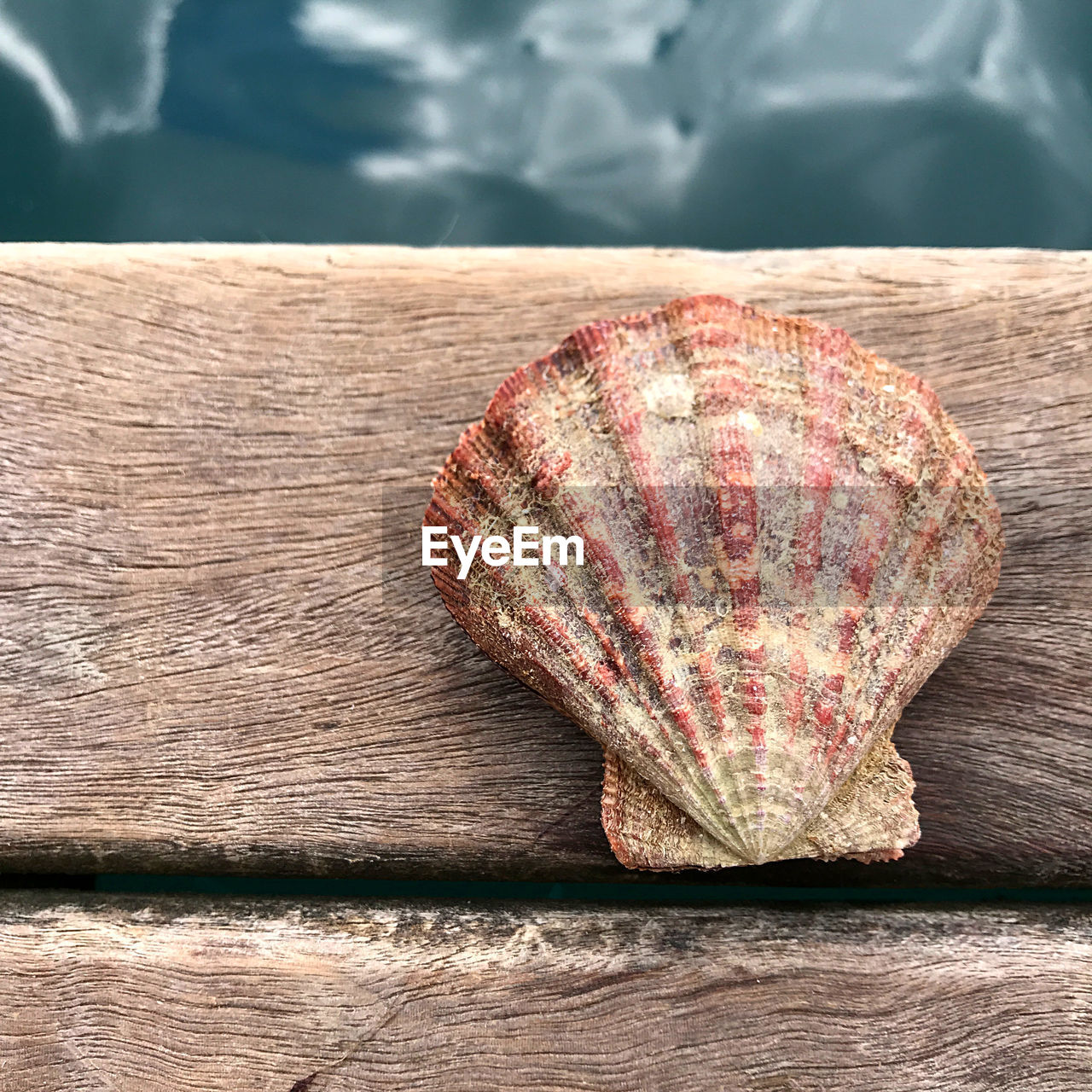 HIGH ANGLE VIEW OF BREAD ON WOODEN TABLE