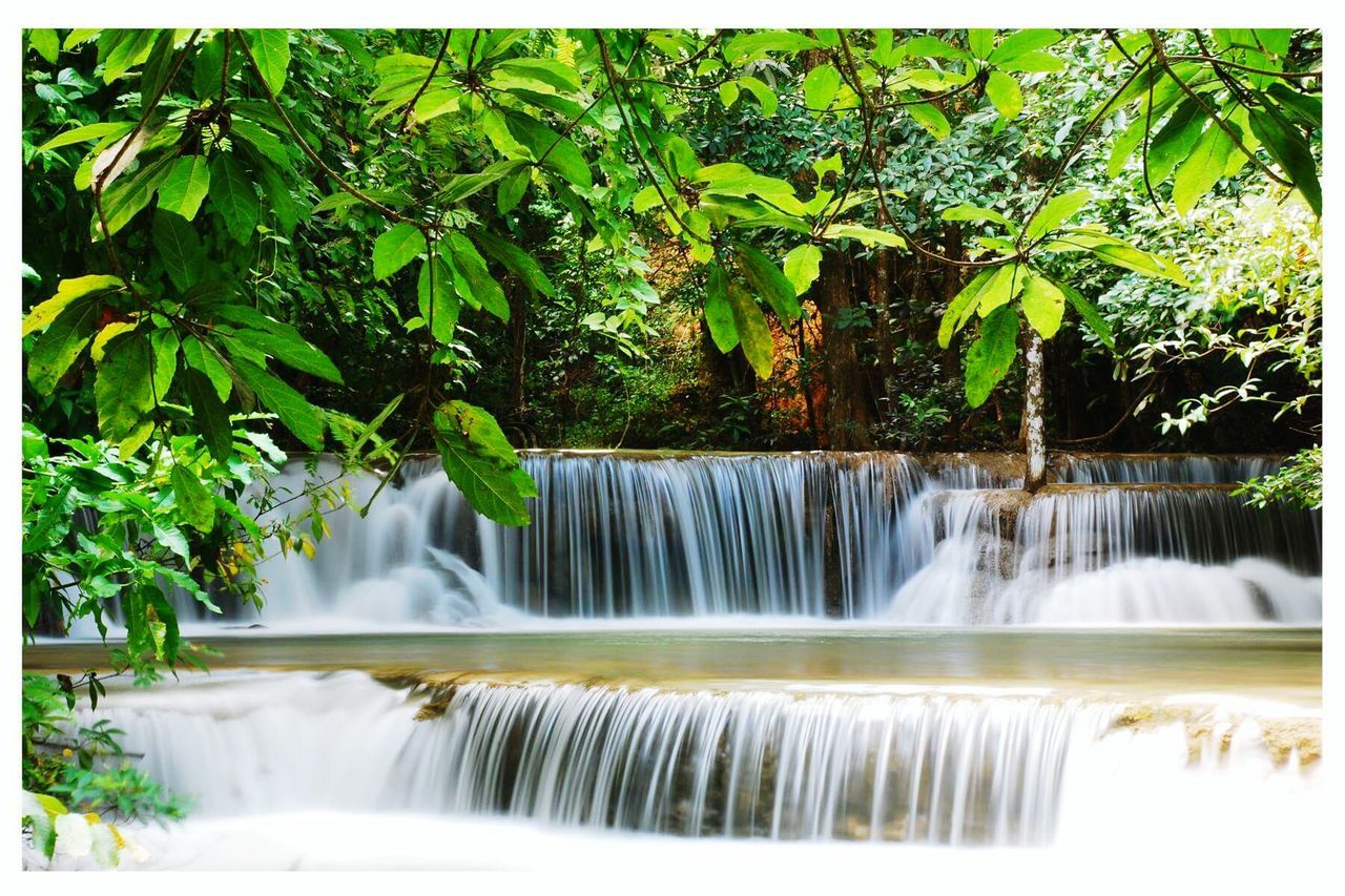 SCENIC VIEW OF WATERFALL IN PARK