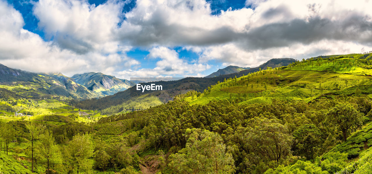 Beautiful panoramic view of the landscape at munnar valley, kerala, india