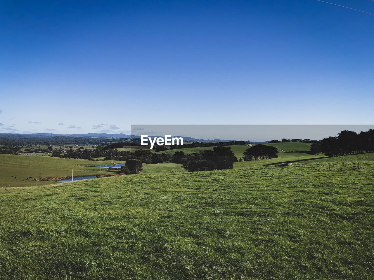 Scenic view of field against clear sky