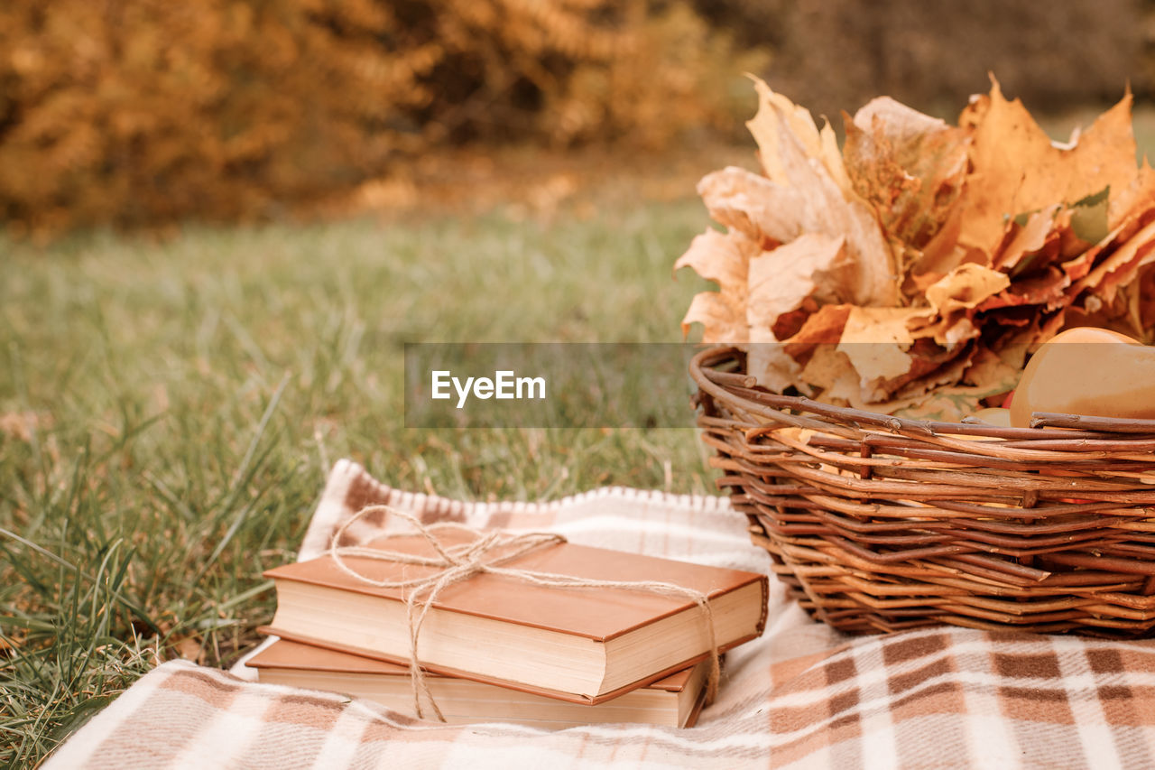 basket, grass, plant, picnic basket, container, nature, autumn, land, no people, field, picnic, food, food and drink, wicker, outdoors, day, focus on foreground, paper, brown, plain, leaf, close-up