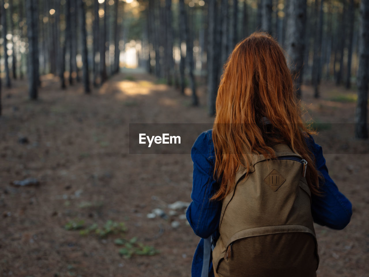 REAR VIEW OF WOMAN STANDING IN A FOREST