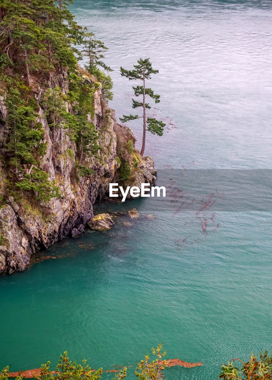SCENIC VIEW OF SEA BY TREES AGAINST SKY
