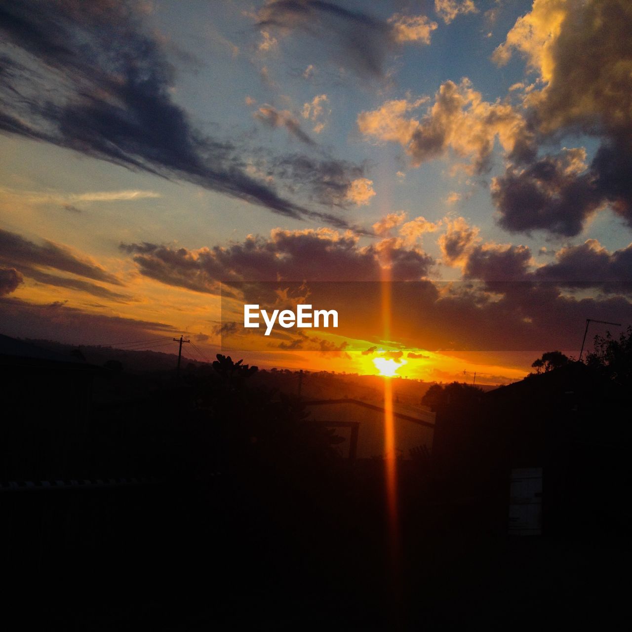 SILHOUETTE OF TREES AT SUNSET