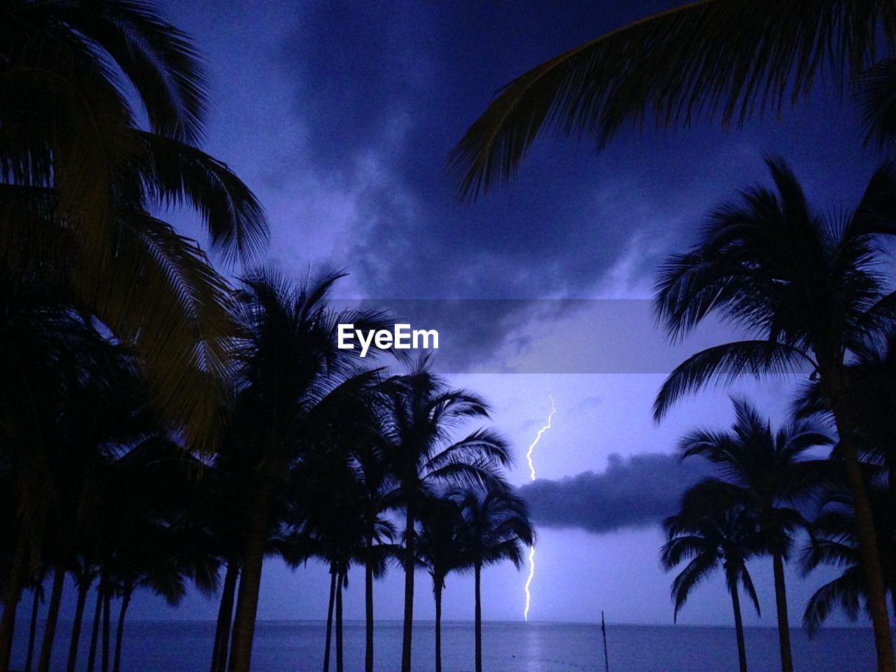 Silhouette palm trees at beach against lightning in sky