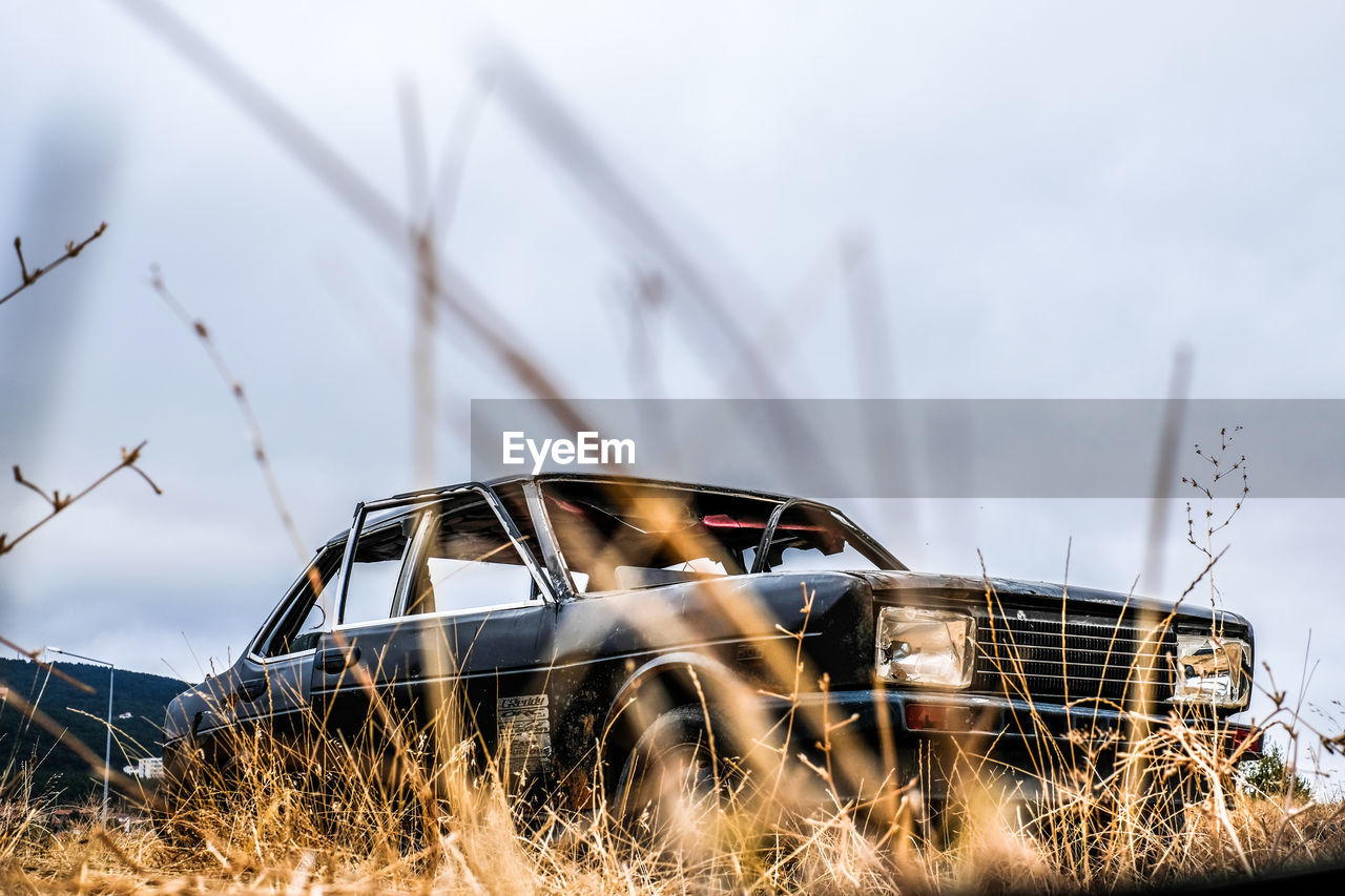 ABANDONED CARS ON FIELD