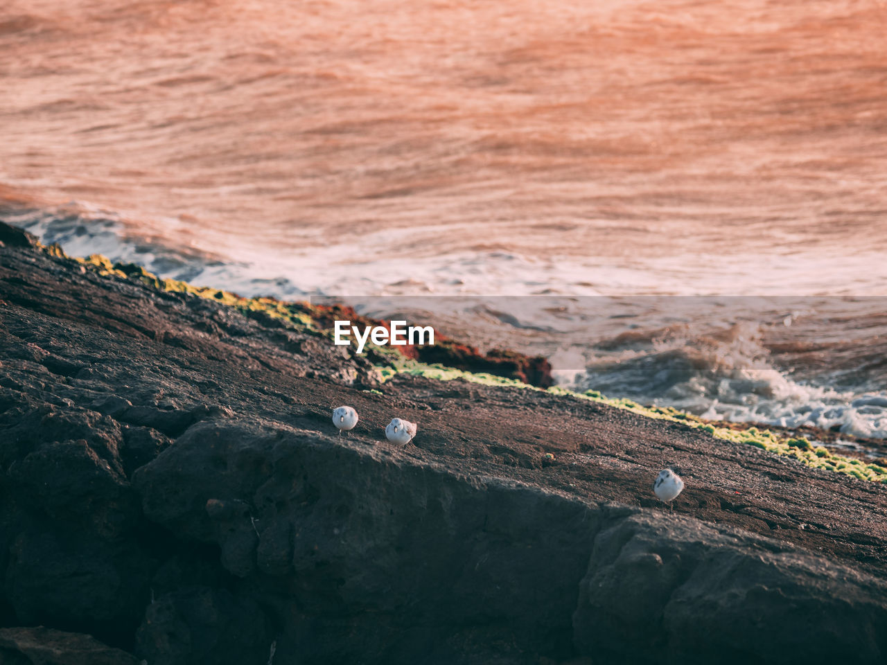 AERIAL VIEW OF ROCKS ON BEACH AGAINST SKY