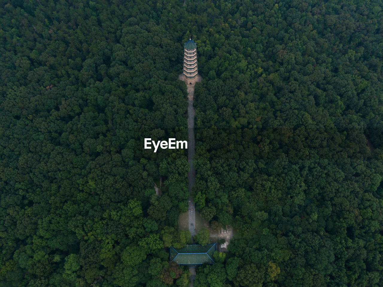 HIGH ANGLE VIEW OF PLANTS AND TREES BY WATER