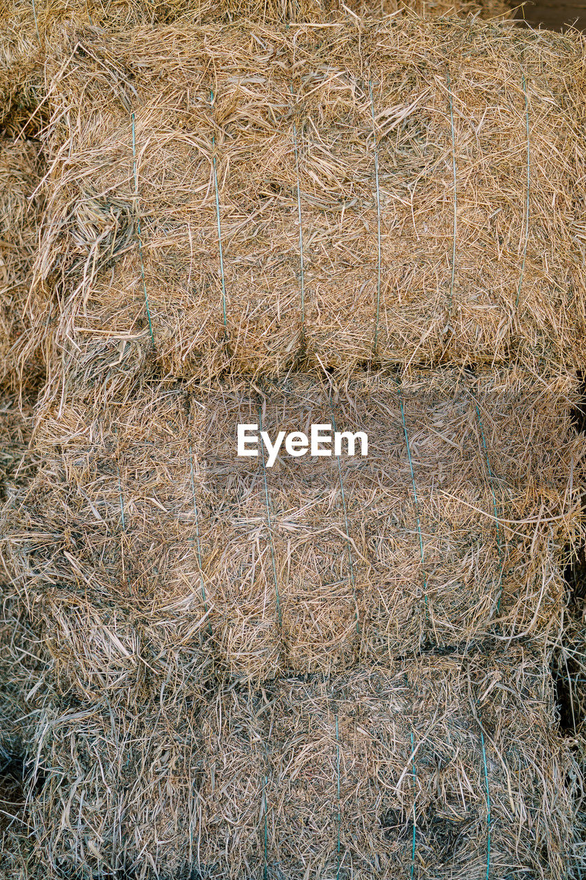 backgrounds, full frame, no people, straw, soil, pattern, day, hay, textured, wood, close-up, agriculture, nature, outdoors, grass, trunk, brown, plant, tree