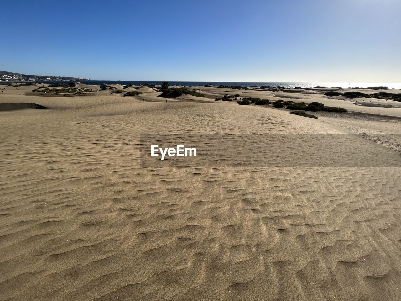 land, sand, sand dune, sky, landscape, scenics - nature, natural environment, environment, desert, erg, nature, clear sky, beauty in nature, tranquility, beach, climate, dune, arid climate, non-urban scene, travel, pattern, travel destinations, tranquil scene, no people, sea, sunny, footprint, tourism, horizon, sunlight, day, water, outdoors, blue, animal wildlife, horizon over land, urban skyline, absence, holiday, vacation, trip, remote, extreme terrain