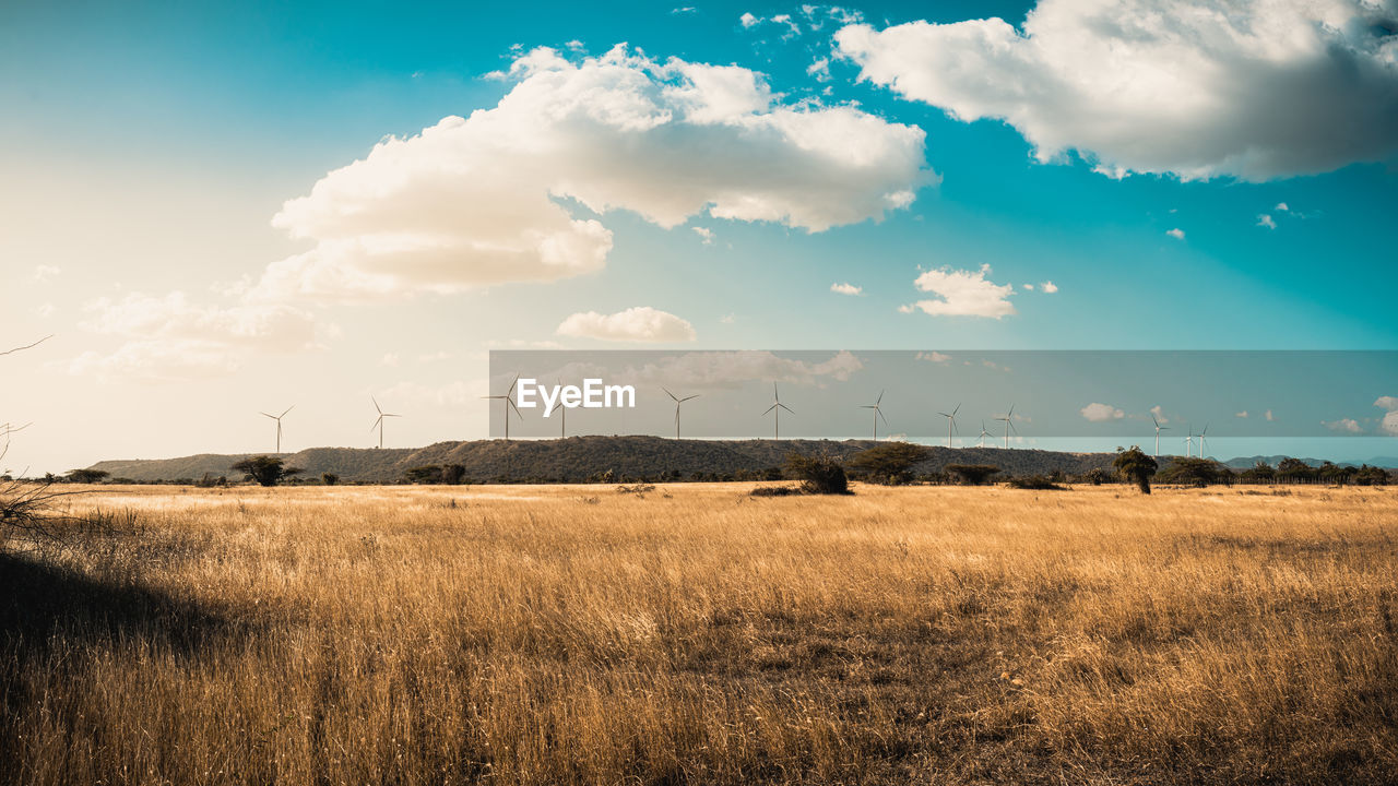 Wind farm at baní, dominican republic