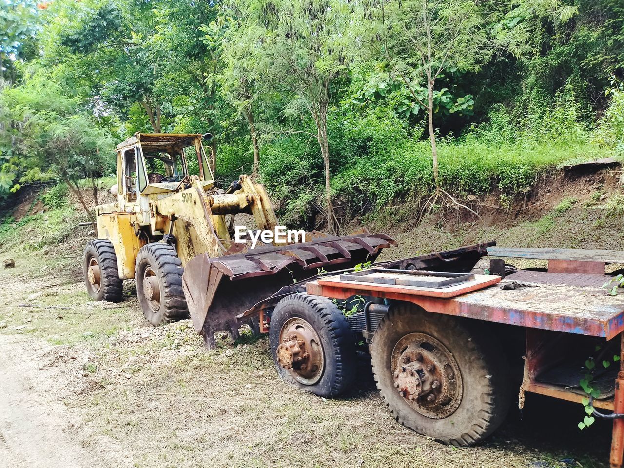 CONSTRUCTION SITE ON TREE