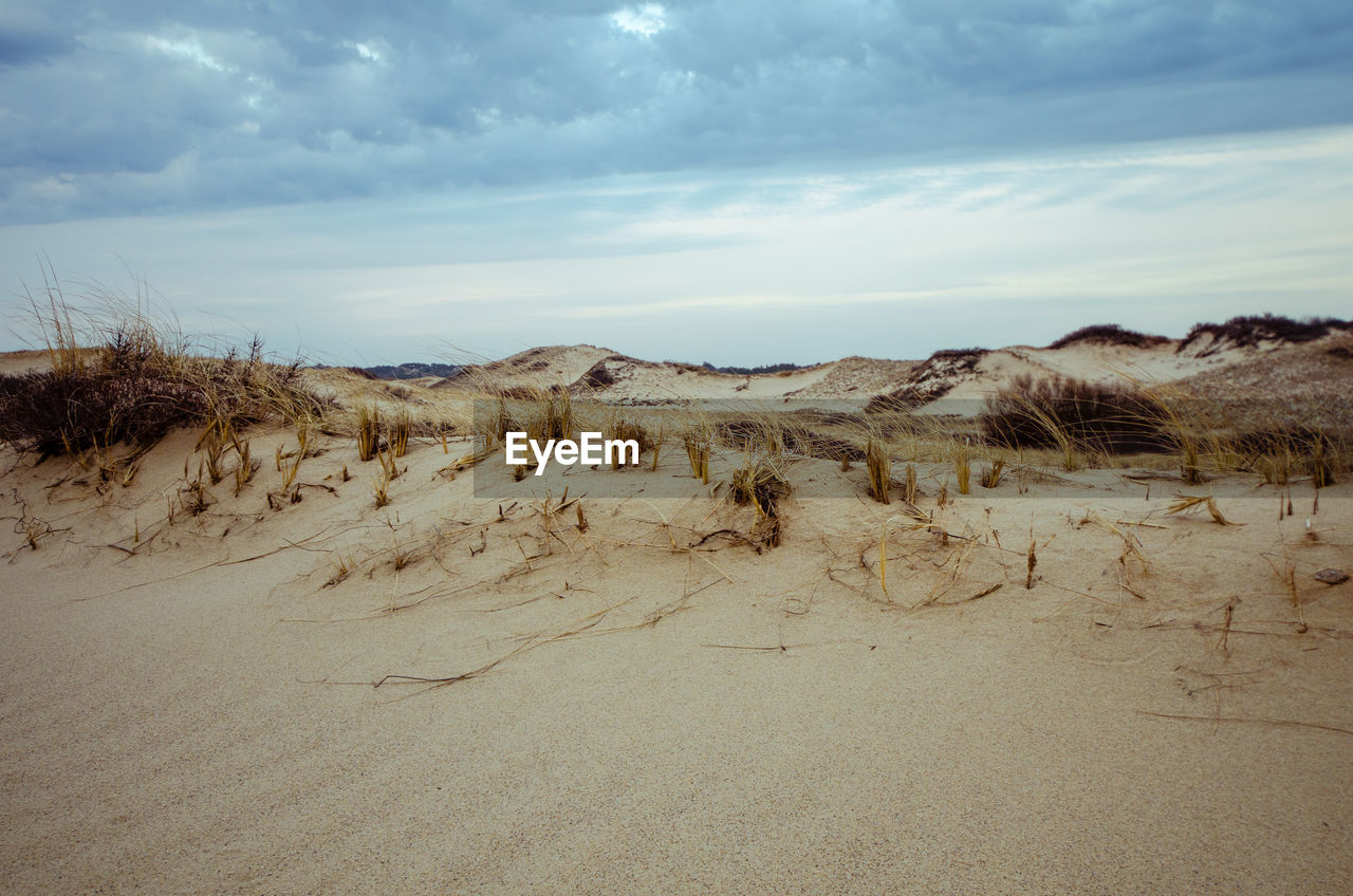 PANORAMIC VIEW OF DESERT