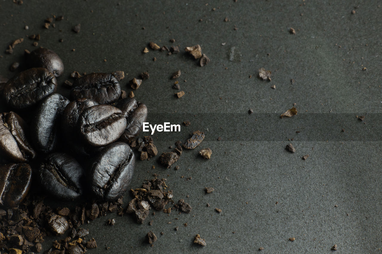 HIGH ANGLE VIEW OF SHELLS ON SAND