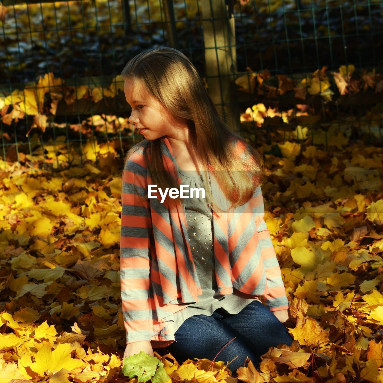 Girl sitting on maple leaves at park during autumn