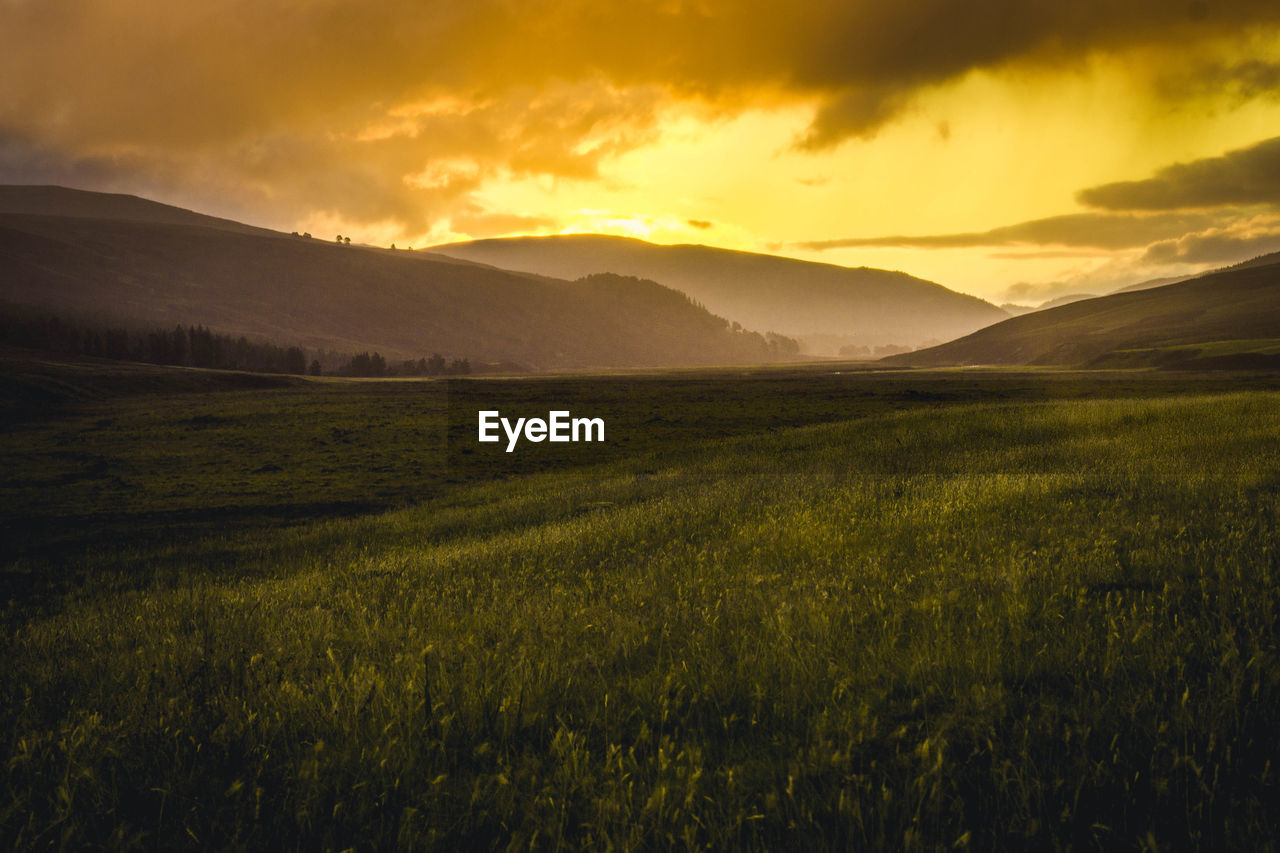 Scenic view of field against sky during sunset