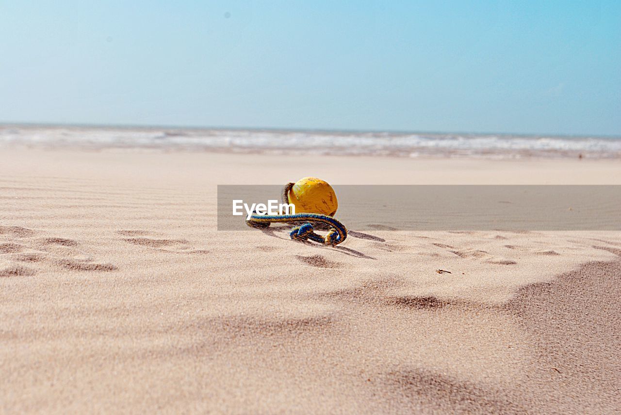 Horse cart on beach against clear sky