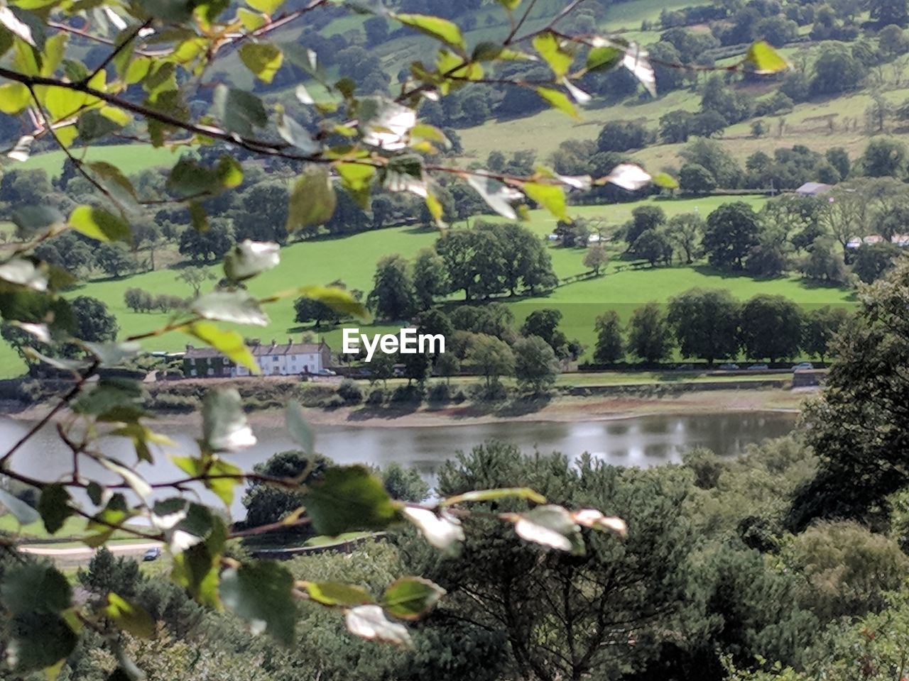 SCENIC VIEW OF LAKE IN FOREST