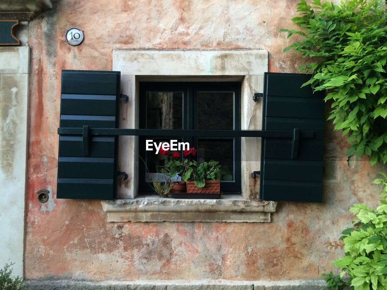 POTTED PLANT AGAINST WINDOW