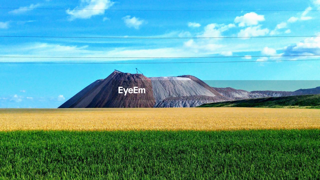 Scenic view of agricultural field against sky