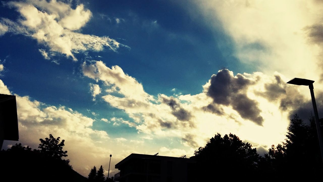 Low angle view of silhouette trees and houses against cloudy sky