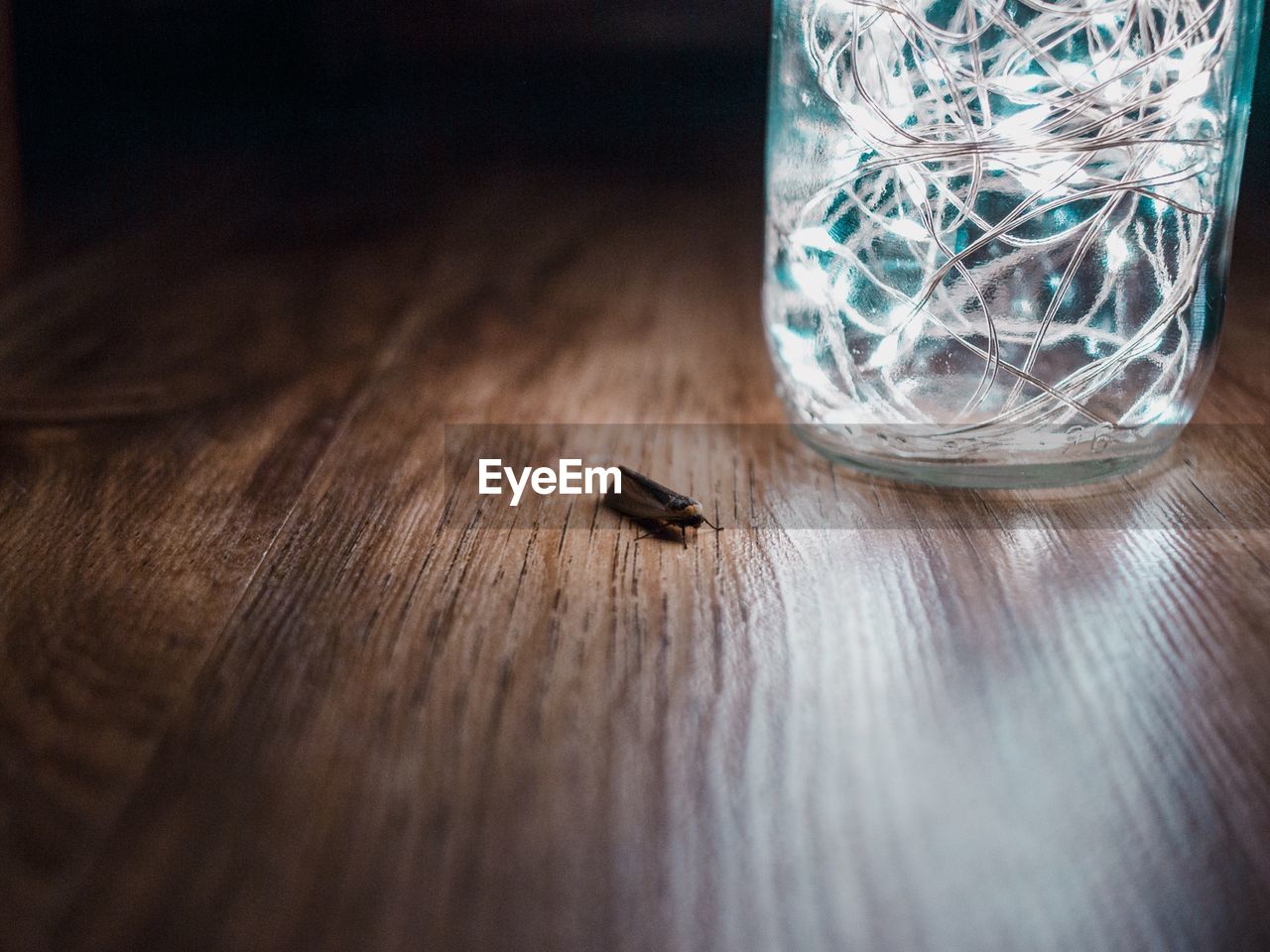 Close-up of insect by illuminated string lights in jar on table