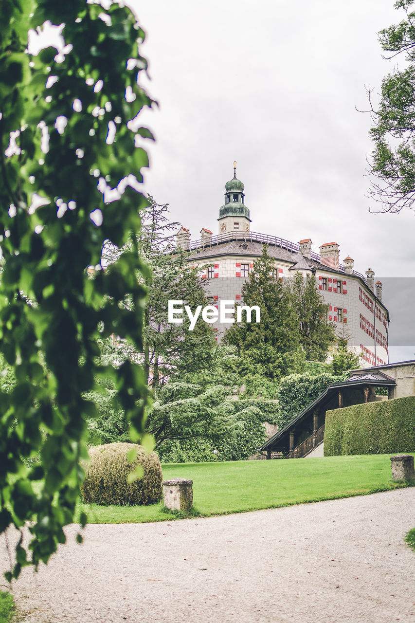 TREES IN GARDEN AGAINST BUILDING