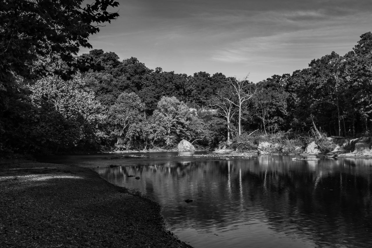 scenic view of river amidst trees against sky