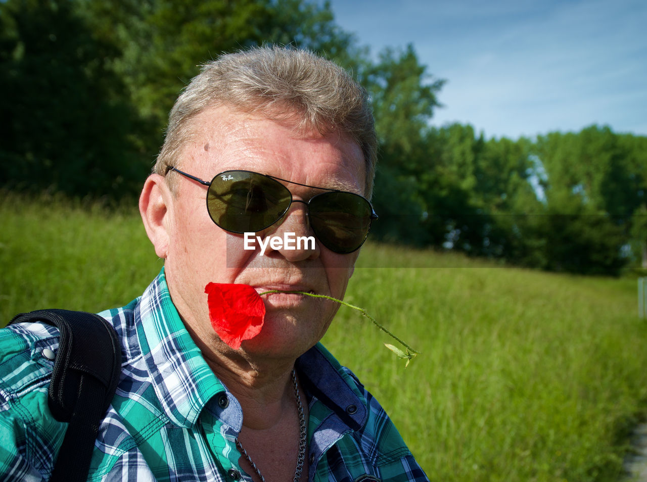 Portrait of man wearing sunglasses while holding flower in mouth
