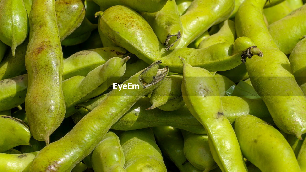 FULL FRAME SHOT OF GREEN CHILI PEPPERS