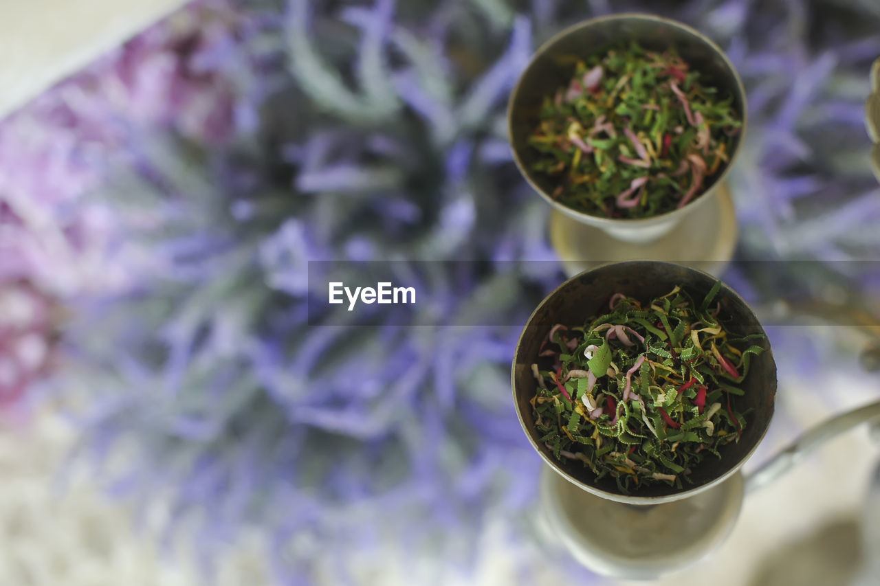 HIGH ANGLE VIEW OF POTTED PLANT IN POT