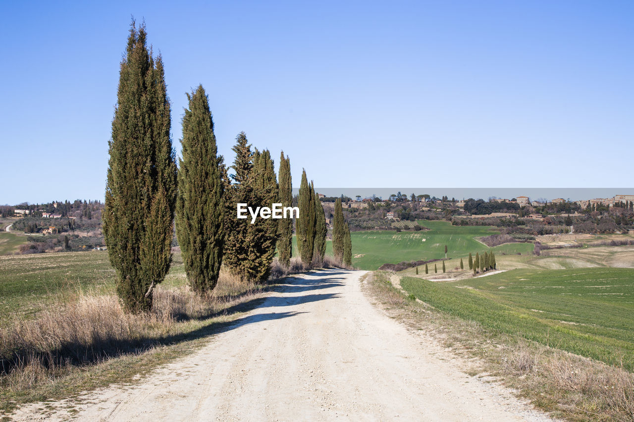 Road amidst trees on field against clear blue sky