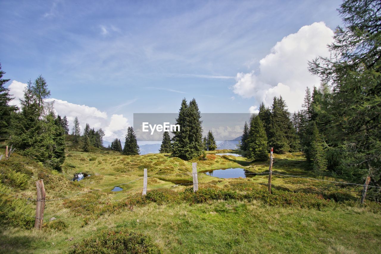 Lakes on 2300 meters alps austria trees on field against sky