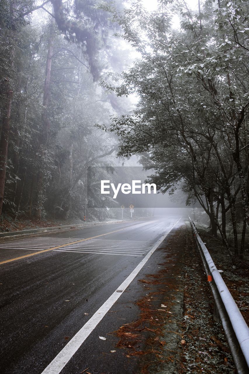 Empty road in the forest during foggy weather