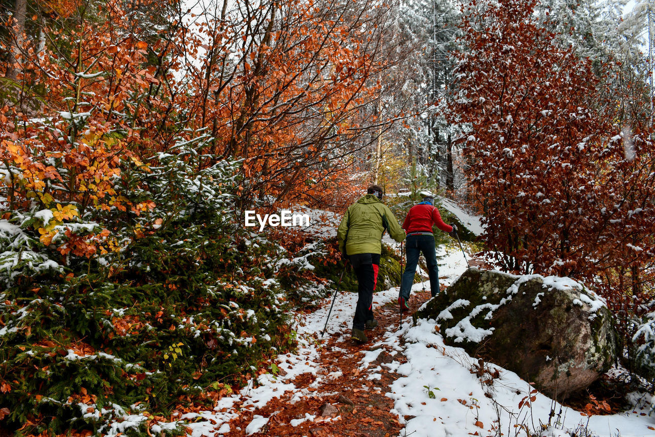 Rear view of people walking in forest during winter