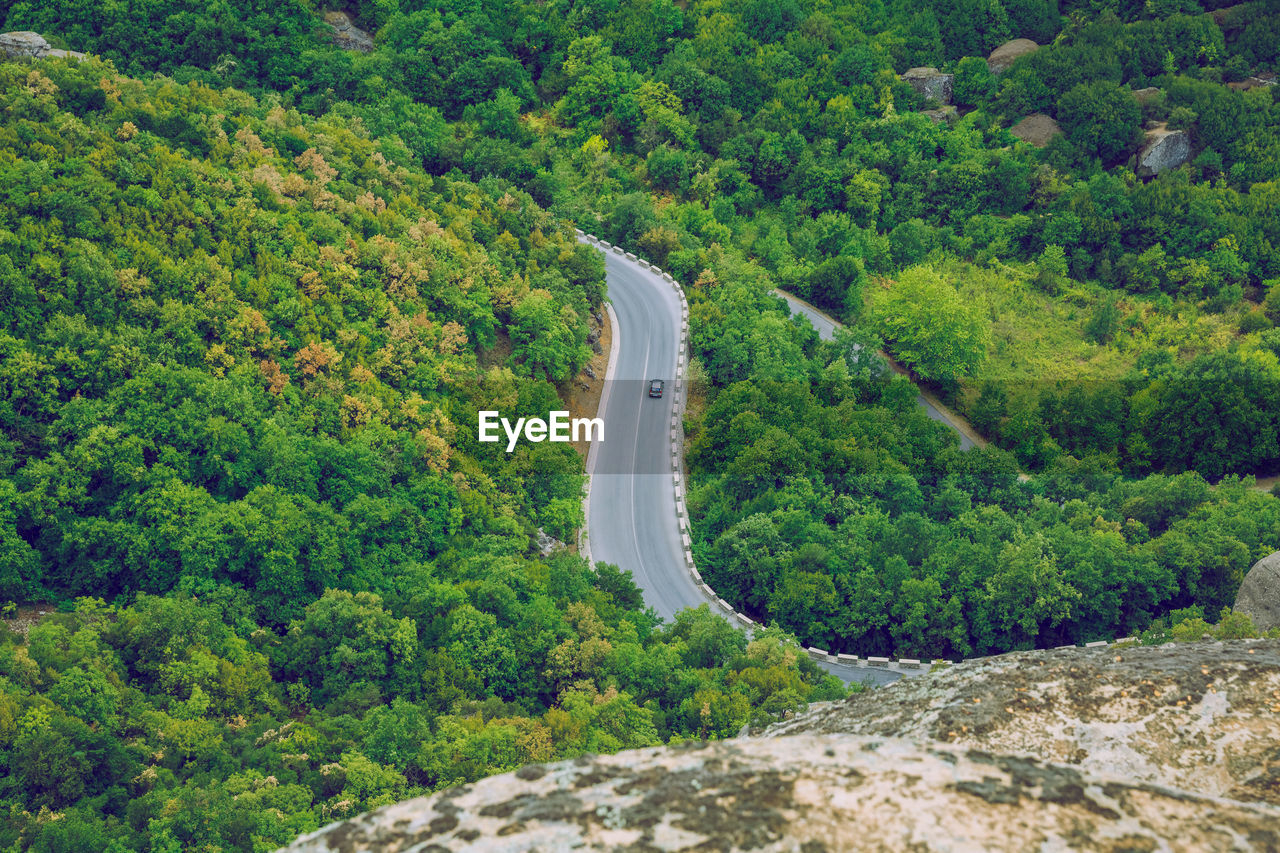 HIGH ANGLE VIEW OF ROAD AMIDST TREES AT FOREST