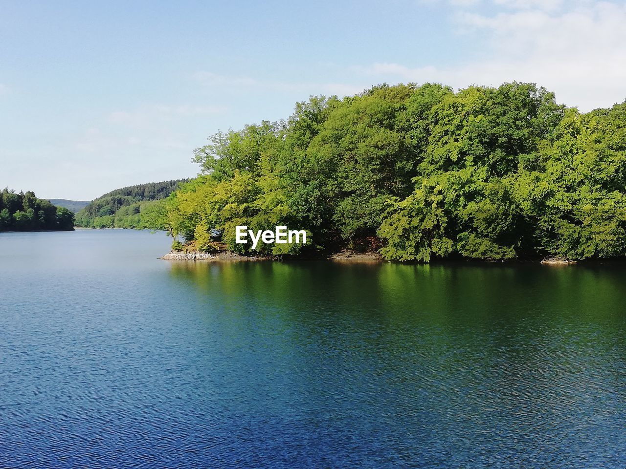 TREES BY LAKE AGAINST SKY